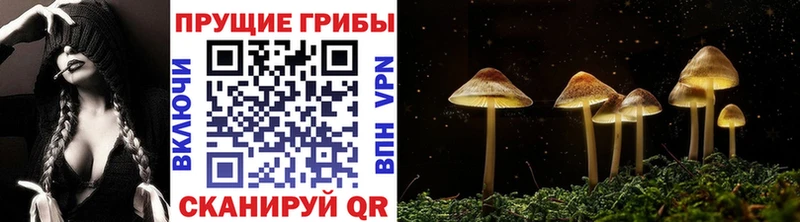 Галлюциногенные грибы ЛСД  купить наркотик  Полярные Зори 